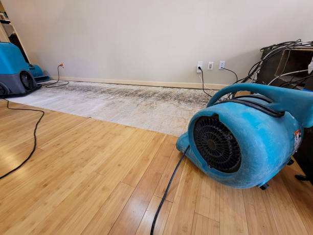 Professional Sewage Cleanup technician working in Bulger, PA